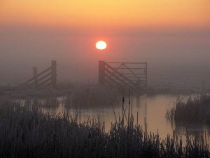 Cold Morning over the Marshes
