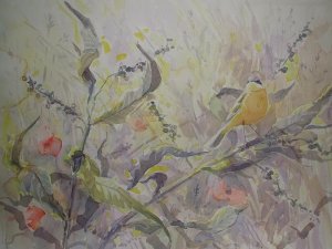 Yellow Wagtail - Watercolour