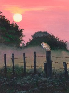 Barn owl painting: A moment of magic