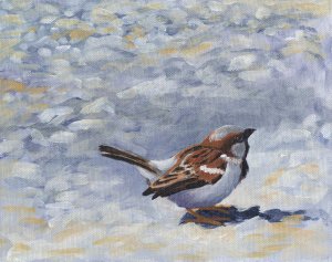 House sparrow painting