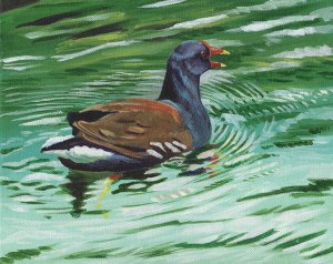 Moorhen painting