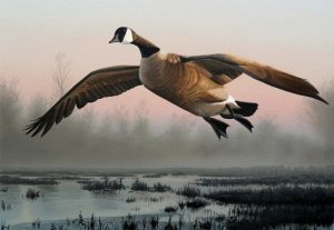 Canada Goose painting
