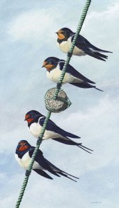 Fare thee well-Swallow painting