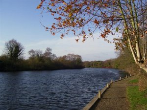 River Yare from Brundall Church Fen