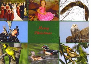 Christmas Card -2008