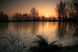 A Winter sunrise over Kingfisher lake