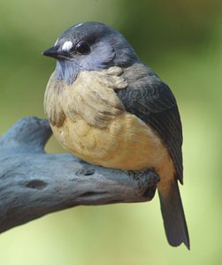 Ornate Flycatcher wood carving