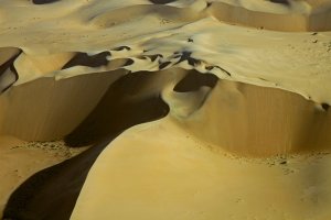 Sand Dune Namib Desert
