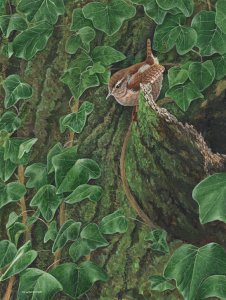 Ivy sprite-Wren painting
