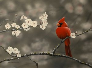 Cardinal and Blossoms