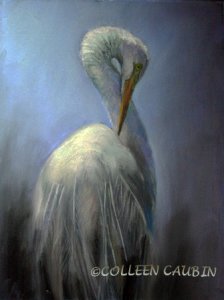 Great Egret in Moonlight 9x12 pastel