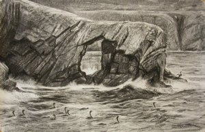 Shag Flottila, Fair Isle - drawing