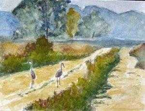 Sandhill Cranes Strolling Main Dike Road at Horicon Marsh