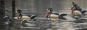 Backwater Bounty