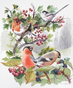 autumn birds painting