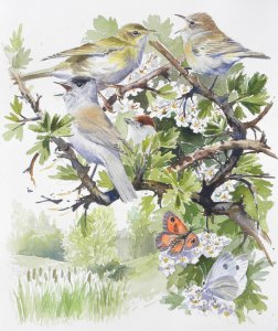 spring birds painting