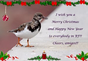 My Christmas Message
