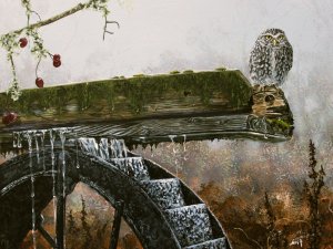 Waterwheel, Little owl