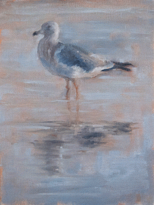 Gull at twilight