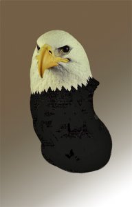 Eagle bust