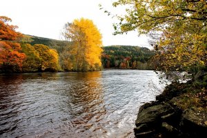 Autumn at the waterside