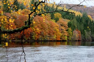 Loch Faskally