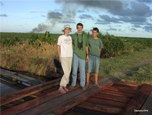 Jacamar, brother and sister