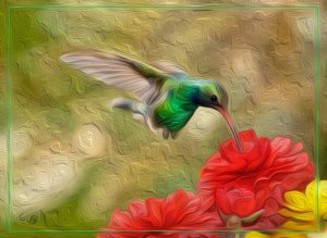 Broad-billed Hummingbird Oil Painting