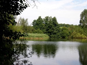 Langford Lakes view