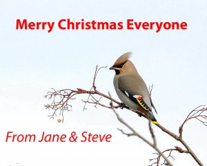 merry xmas to all at bird forum