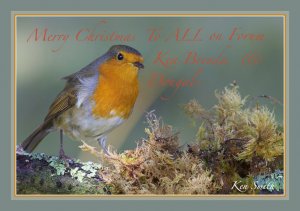 'Merry Christmas Robin'