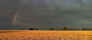 Farmland in Stormy sky