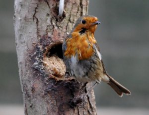 "I've just had a bath!"