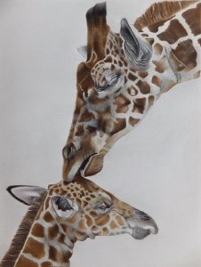 Giraffes (Brotherly Love)