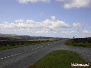 View of Dartmoor.