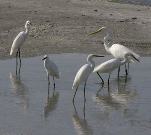 at the beach