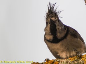 I should go to the hairdresser!