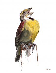 Dickcissel Painting