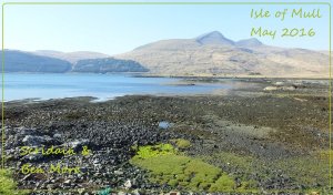 Ben More and Loch Scridain