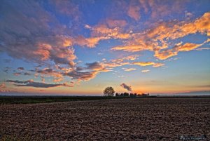 Sunset in the rice fields of Vercelli