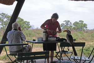 A Visitor for lunch