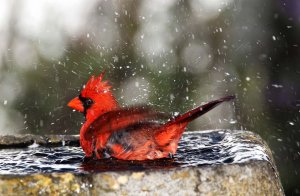 Cooling off!