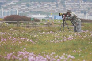 Out In The Field