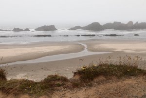 Rocks, Fog and Waves