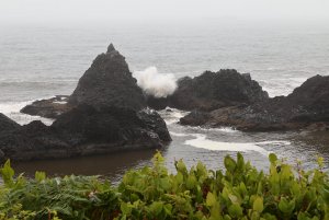 Rocks, Fog and Waves