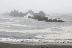 Rocks, Fog and Waves