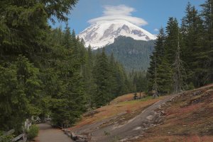 Mt Rainier