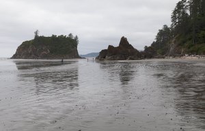 Sea Stacks