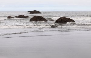 Sea Stacks