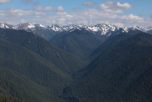 Olympic Mountains